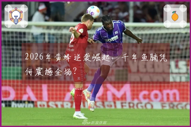 2026年黄蜂逆袭崛起，千年鱼腩凭何震撼全场？