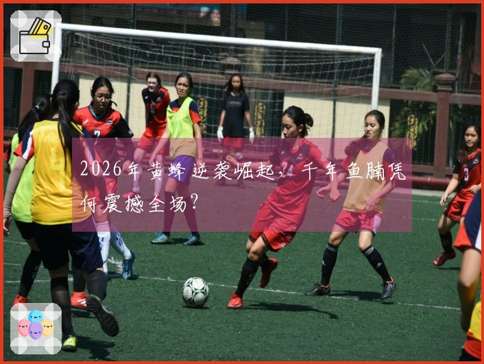 2026年黄蜂逆袭崛起，千年鱼腩凭何震撼全场？